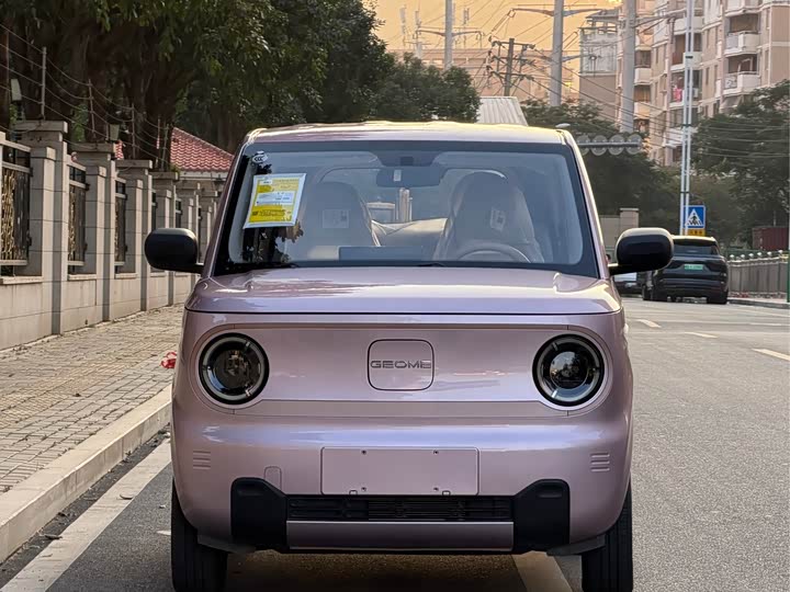 Фото 2 - Geely Galaxy Panda Mini