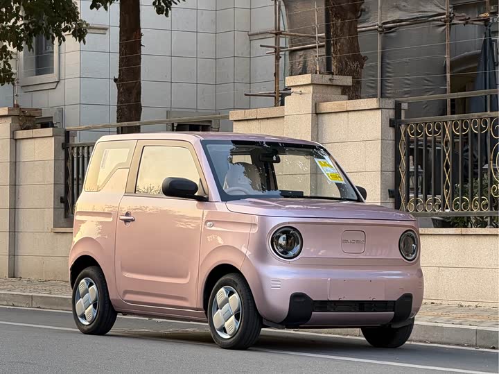 Фото 3 - Geely Galaxy Panda Mini