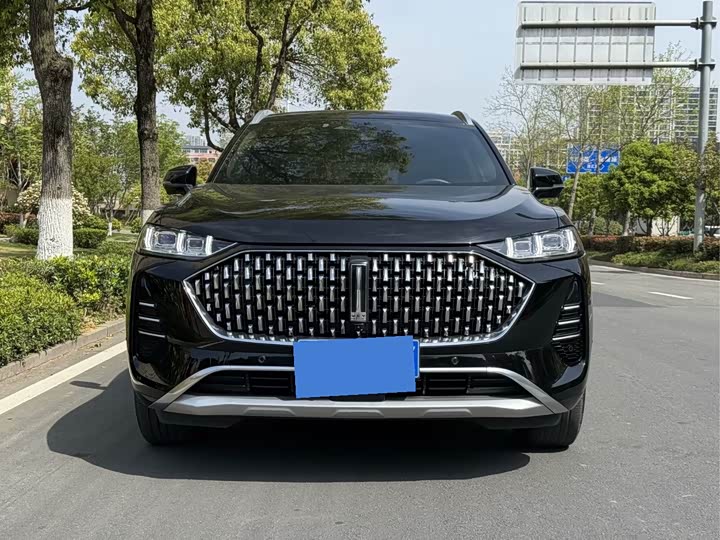 Фото 2 - Wey Mocha