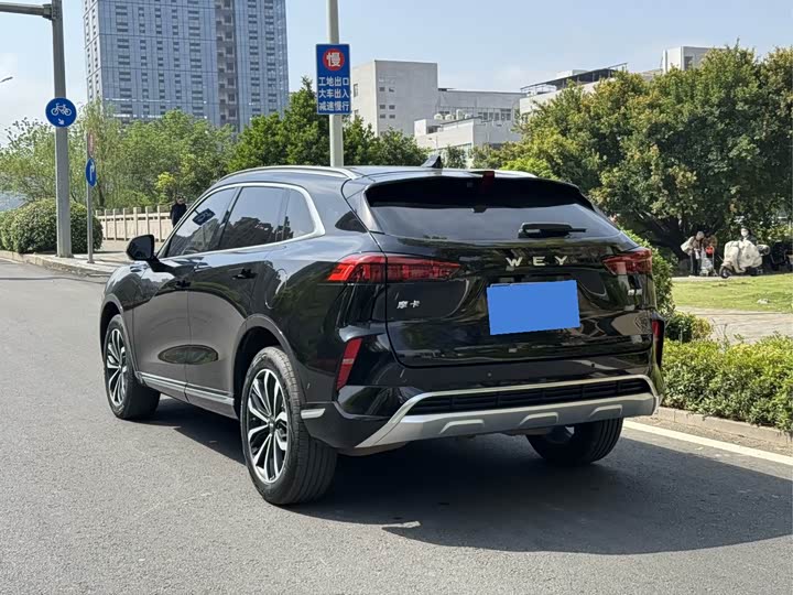 Фото 6 - Wey Mocha