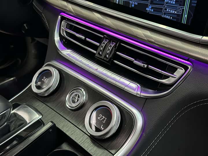 Фото 8 - Hongqi H9