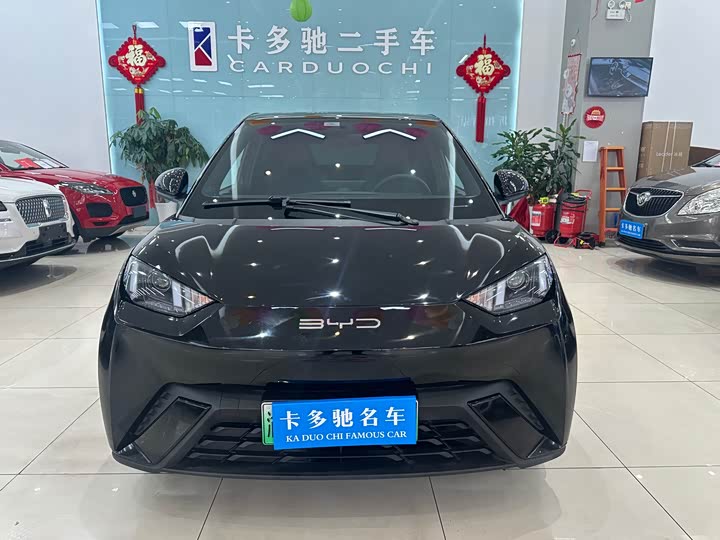 Фото 3 - BYD Seagull