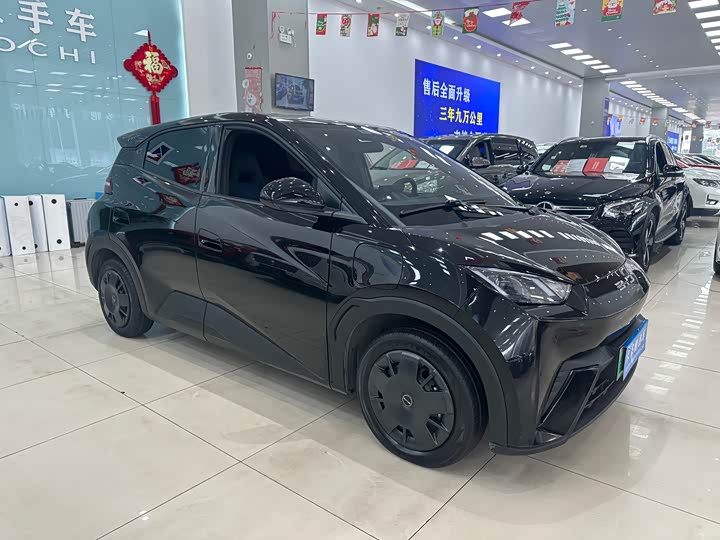 Фото 4 - BYD Seagull