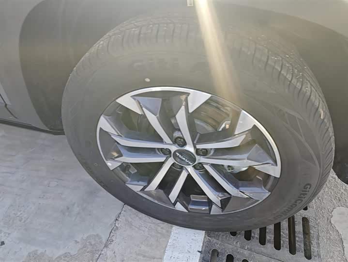 Фото 6 - Haval Dargo