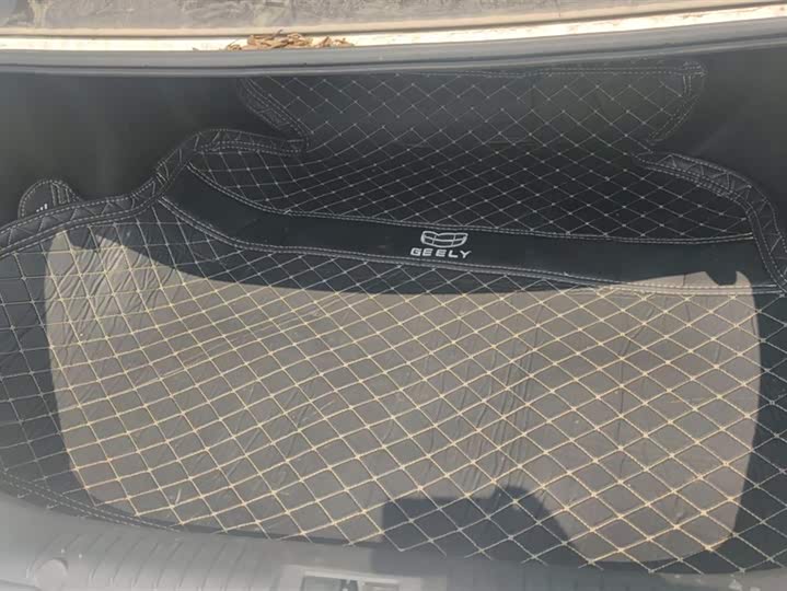 Фото 4 - Geely Vision