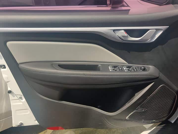 Фото 7 - Geely Vision