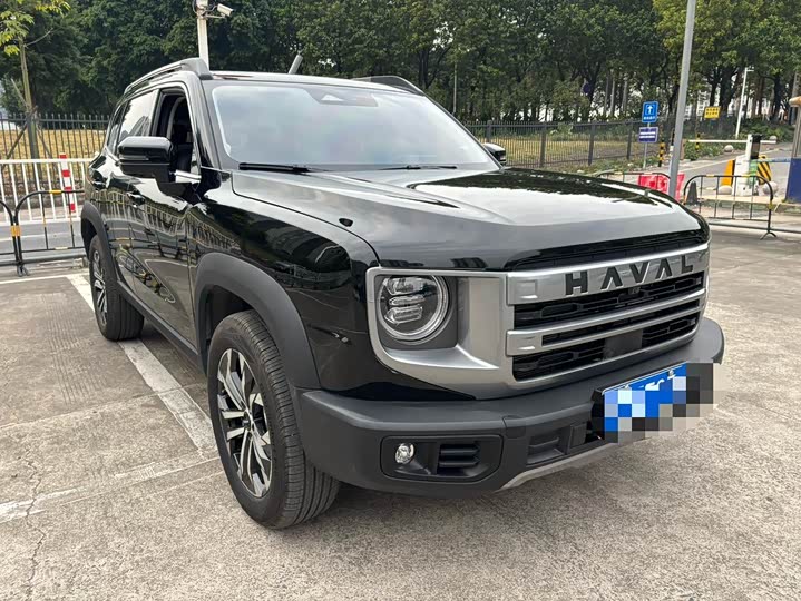 Фото 3 - Haval Dargo