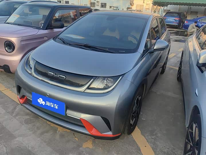 Фото 1 - BYD Dolphin