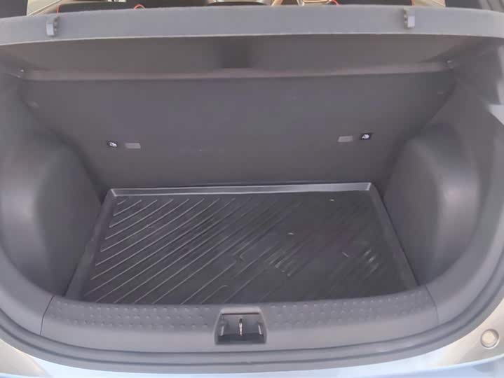 Фото 4 - BYD Dolphin