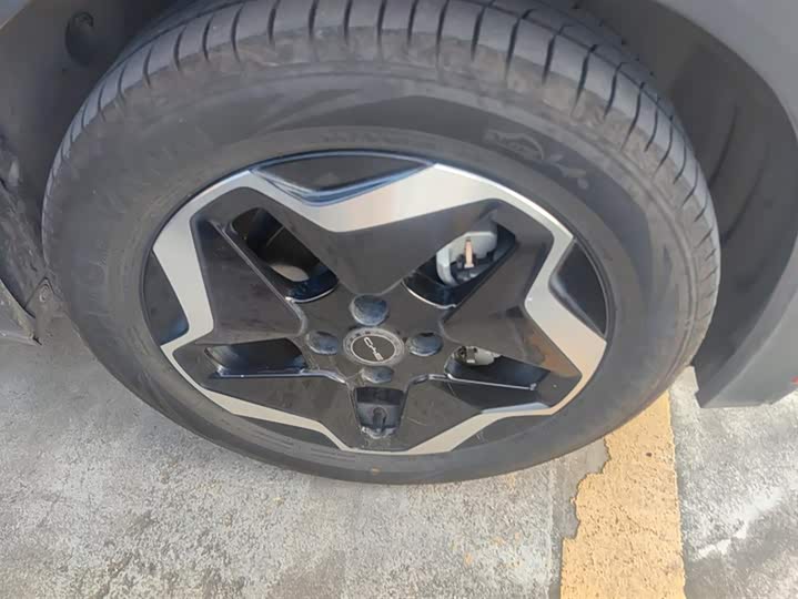 Фото 6 - BYD Dolphin