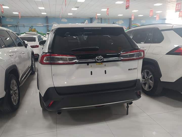 Фото 6 - Toyota Wildlander