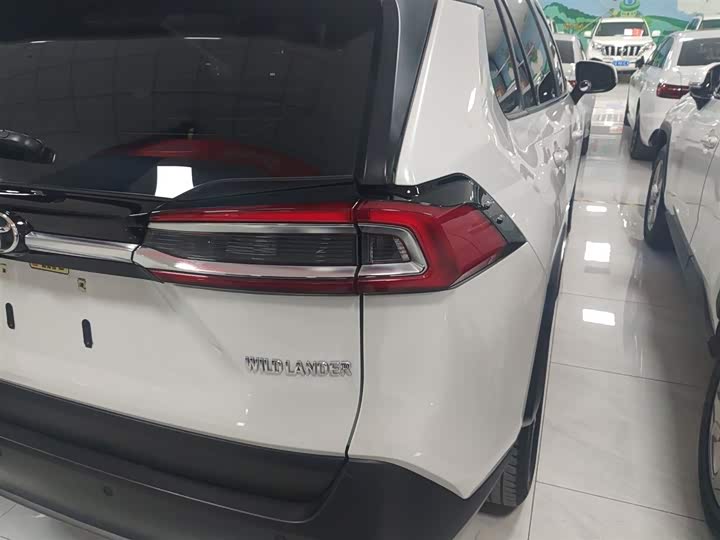 Фото 8 - Toyota Wildlander