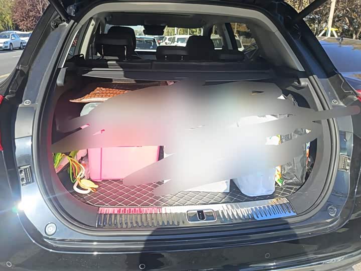 Фото 4 - Hongqi HS5