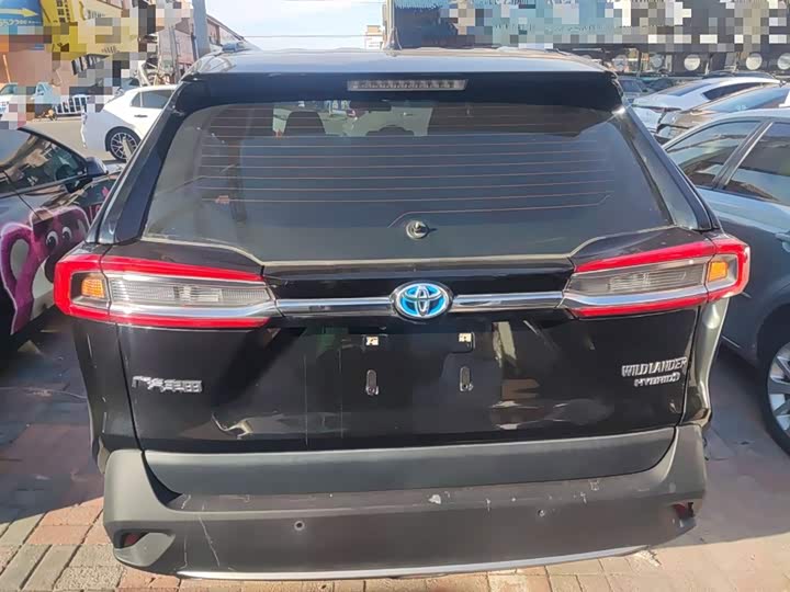 Фото 6 - Toyota Wildlander