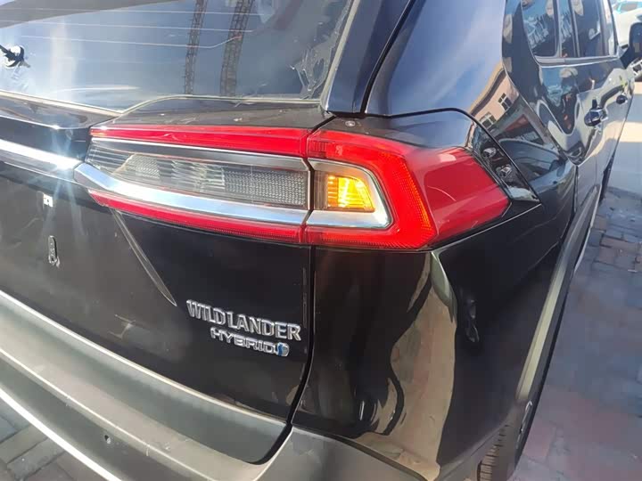 Фото 8 - Toyota Wildlander