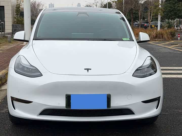 Фото 2 - Tesla Model Y