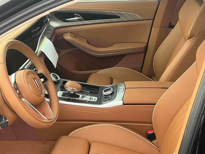 Фото 3 - Hongqi H9