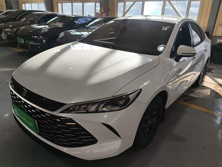 Фото 2 - BYD Qin Plus