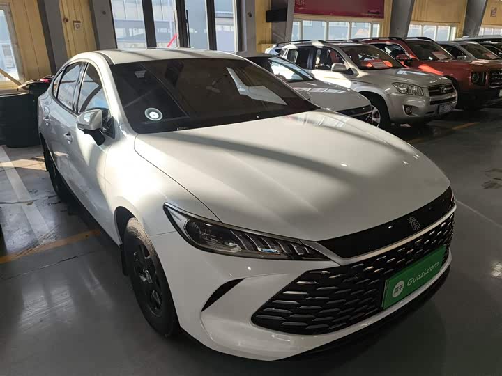 Фото 4 - BYD Qin Plus