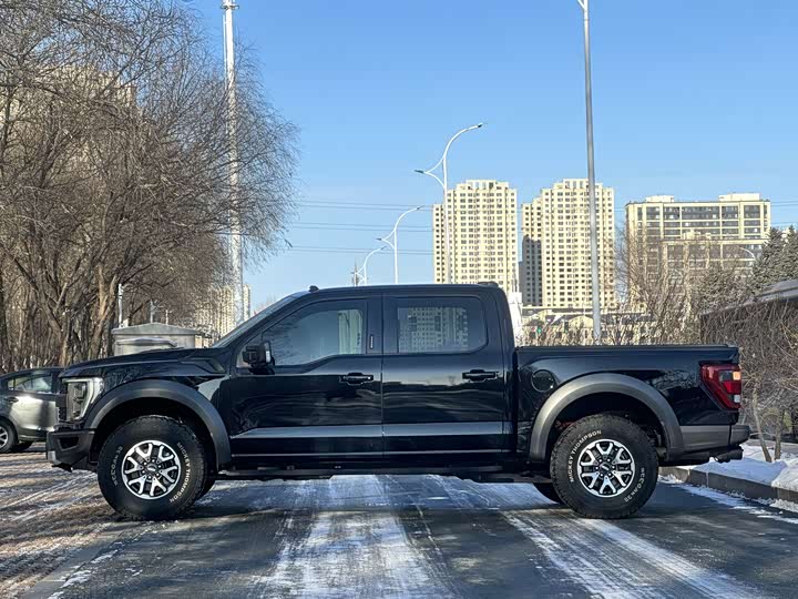 Фото 8 - Ford F-150 Raptor