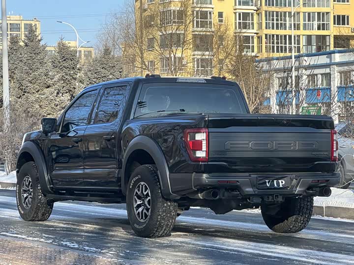 Фото 9 - Ford F-150 Raptor