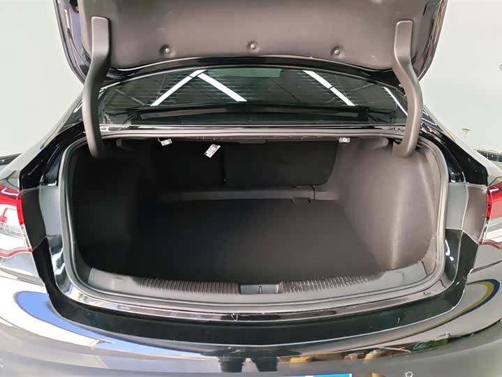 Фото 4 - Buick Regal