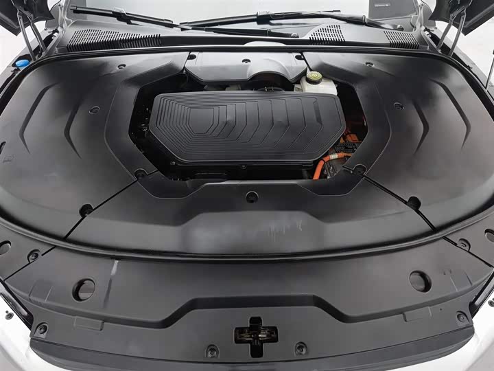 Фото 6 - BYD Han