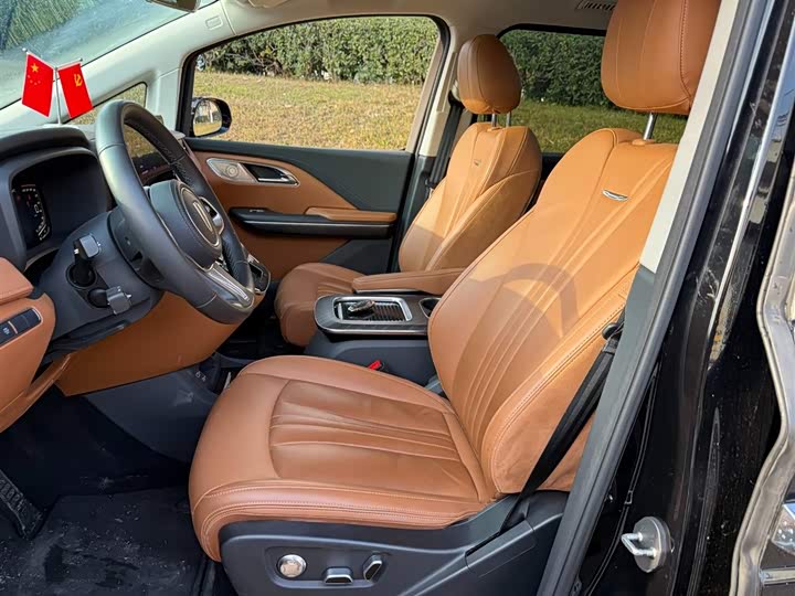 Фото 8 - Hongqi HQ9