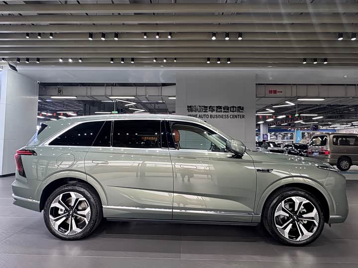 Фото 4 - Wey Lanshan