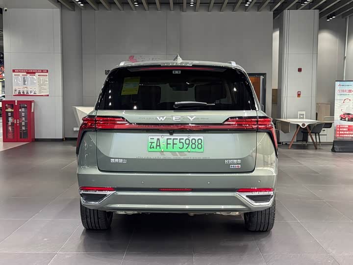 Фото 6 - Wey Lanshan