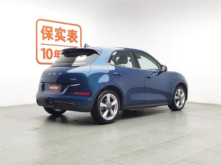 Фото 2 - Ora Good Cat (03)