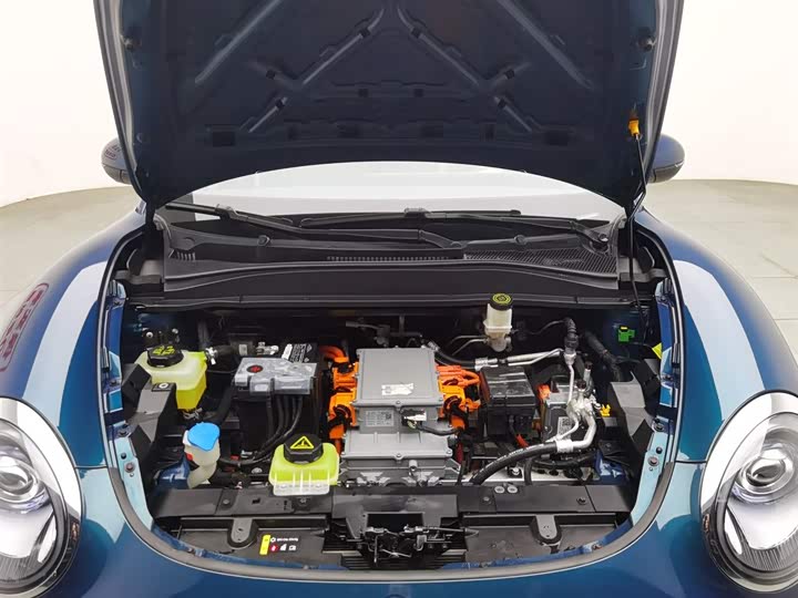 Фото 6 - Ora Good Cat (03)