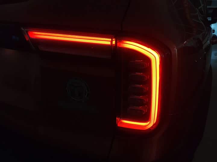 Фото 8 - Haval Dargo