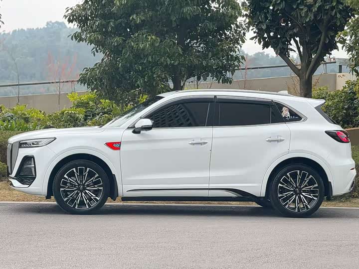 Фото 3 - Hongqi HS5