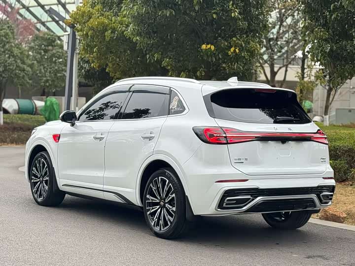 Фото 4 - Hongqi HS5