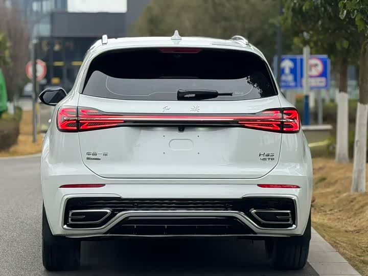 Фото 5 - Hongqi HS5