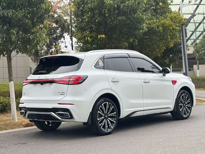 Фото 6 - Hongqi HS5