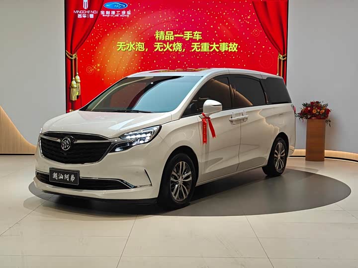 Фото 1 - Buick GL8 ES