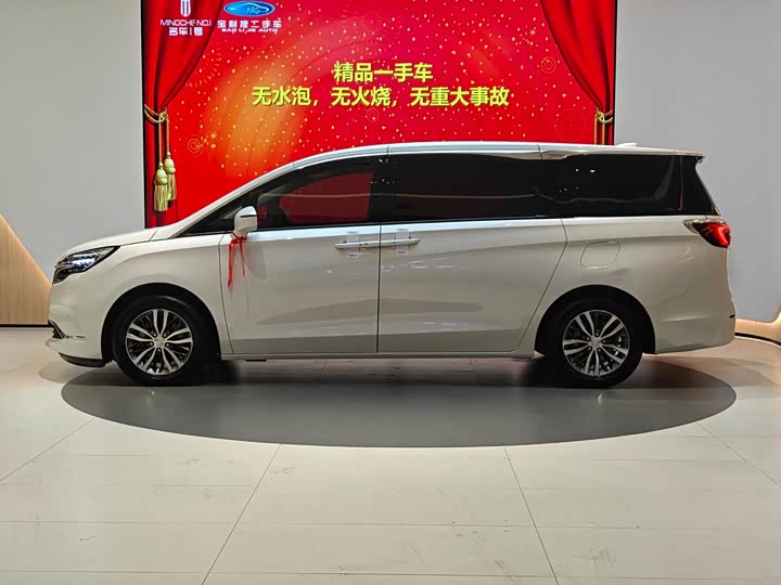 Фото 4 - Buick GL8 ES