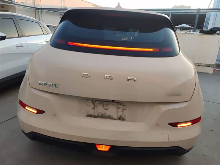 Фото 6 - Ora Good Cat (03)