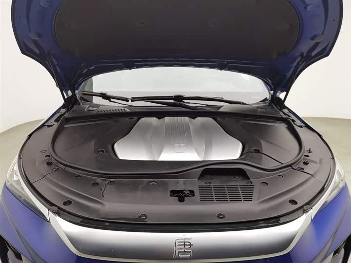 Фото 6 - BYD Tang Hybrid/EV