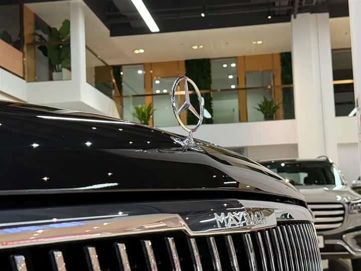 Фото 6 - Mercedes-Benz Maybach GLS