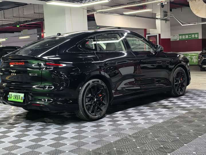 Фото 7 - IM motors LS6