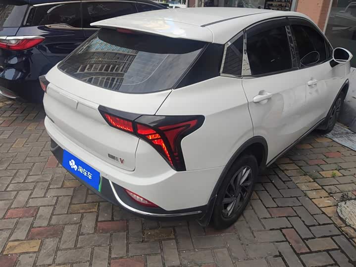 Фото 3 - Hozon V