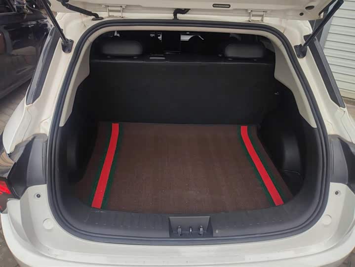 Фото 4 - Hozon V