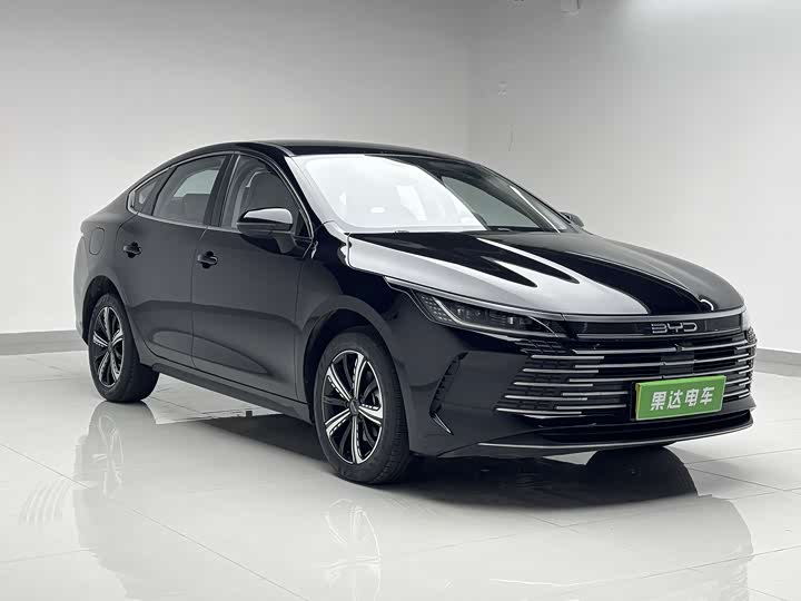 Фото 3 - BYD Destroyer 05