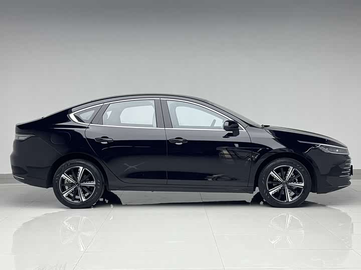 Фото 4 - BYD Destroyer 05