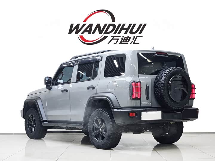 Фото 4 - Tank 300