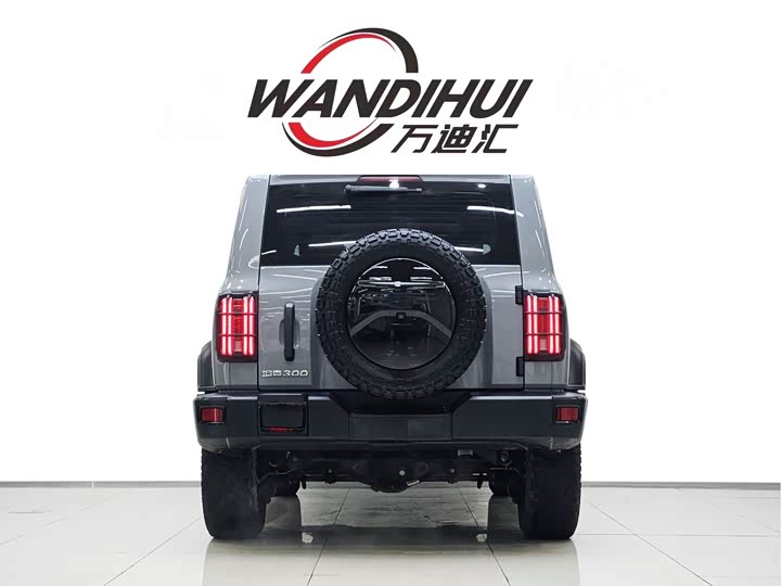 Фото 5 - Tank 300