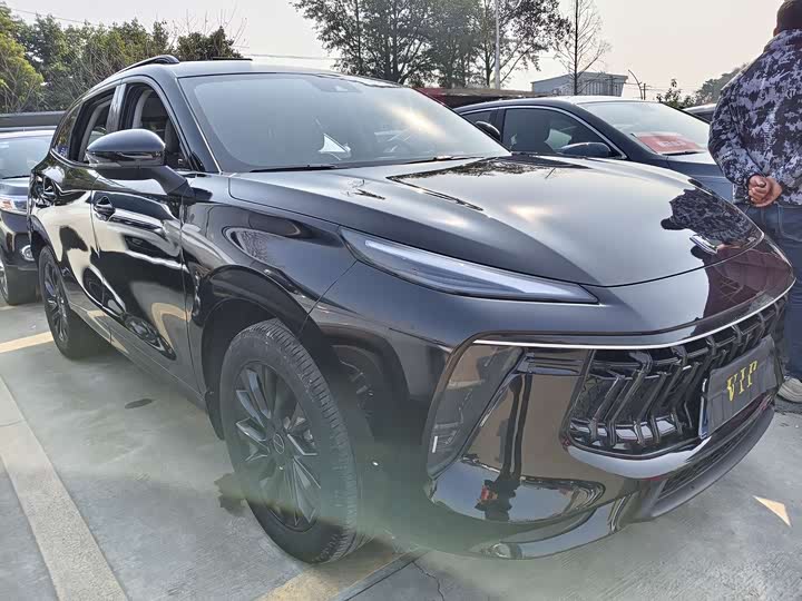 Фото 3 - Dongfeng Forthing T5 EVO